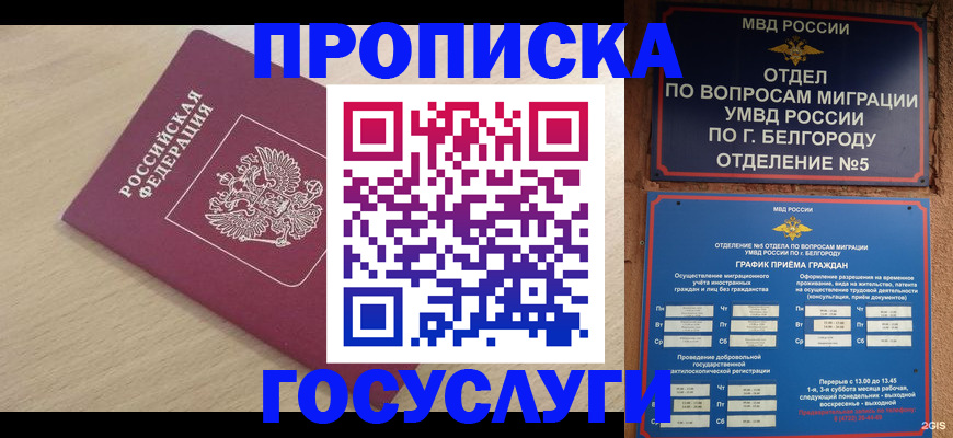 прописка законно в Краснодаре